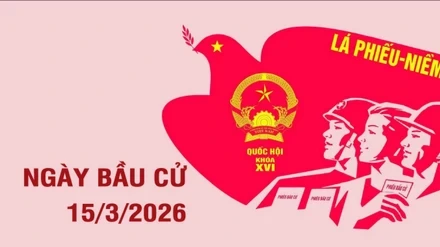 [Infographic]. Thông tin cần biết về ngày bầu cử