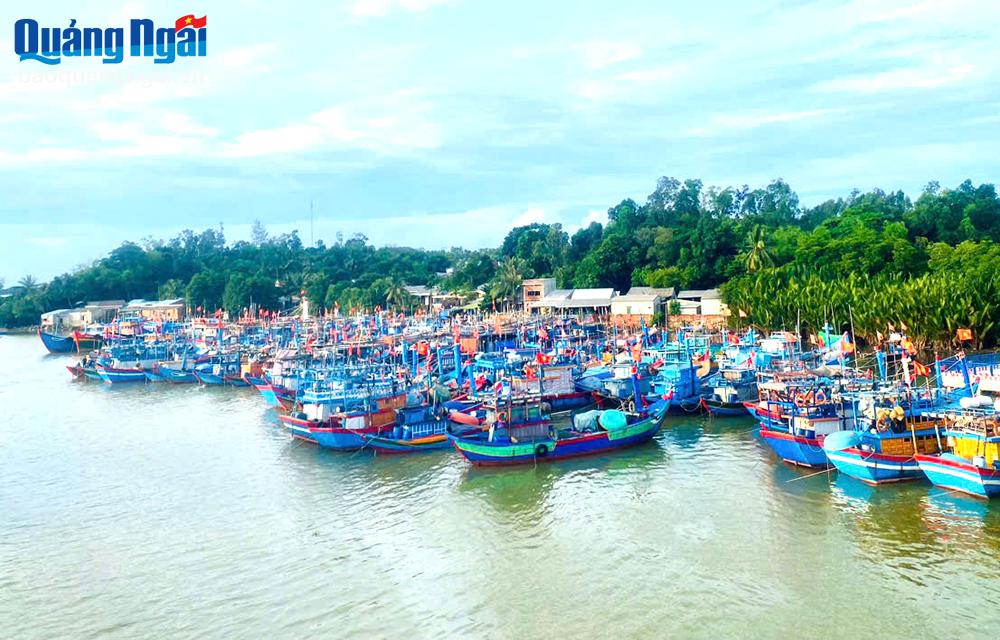 Chuyển biến trong việc xóa tàu cá '3 không'