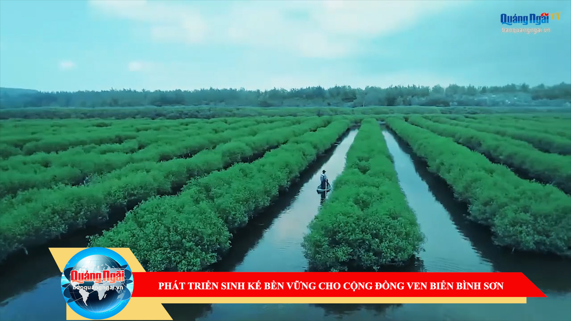 [Video]. Phát triển sinh kế bền vững cho cộng đồng ven biển Bình Sơn