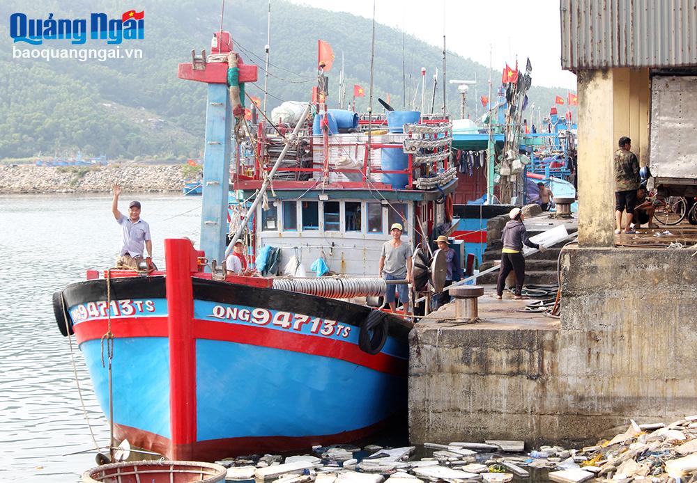  Lớn lên từ biển 