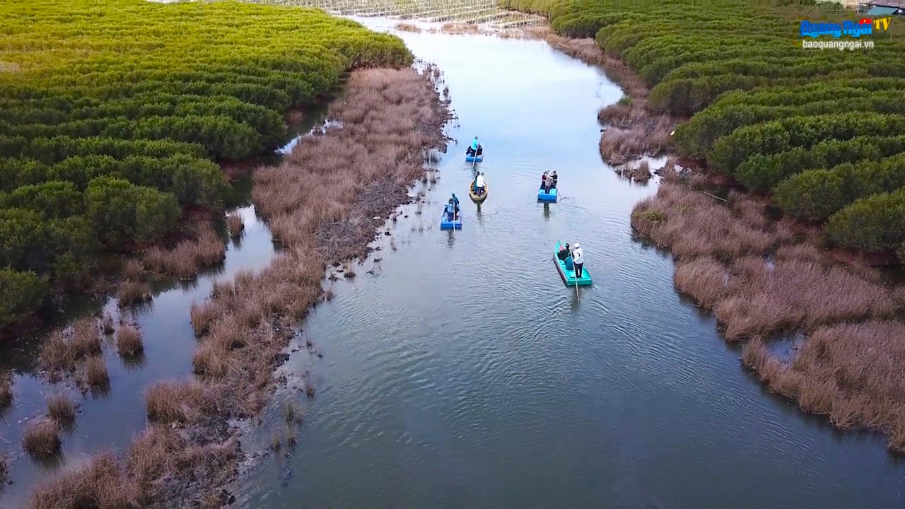 [Video]. Hiệu quả từ mô hình giao quyền quản lý cho cộng đồng bảo vệ nguồn lợi thuỷ sản