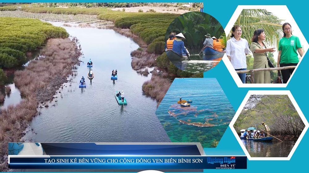 Video: Tạo sinh kế bền vững cho cộng đồng ven biển Bình Sơn