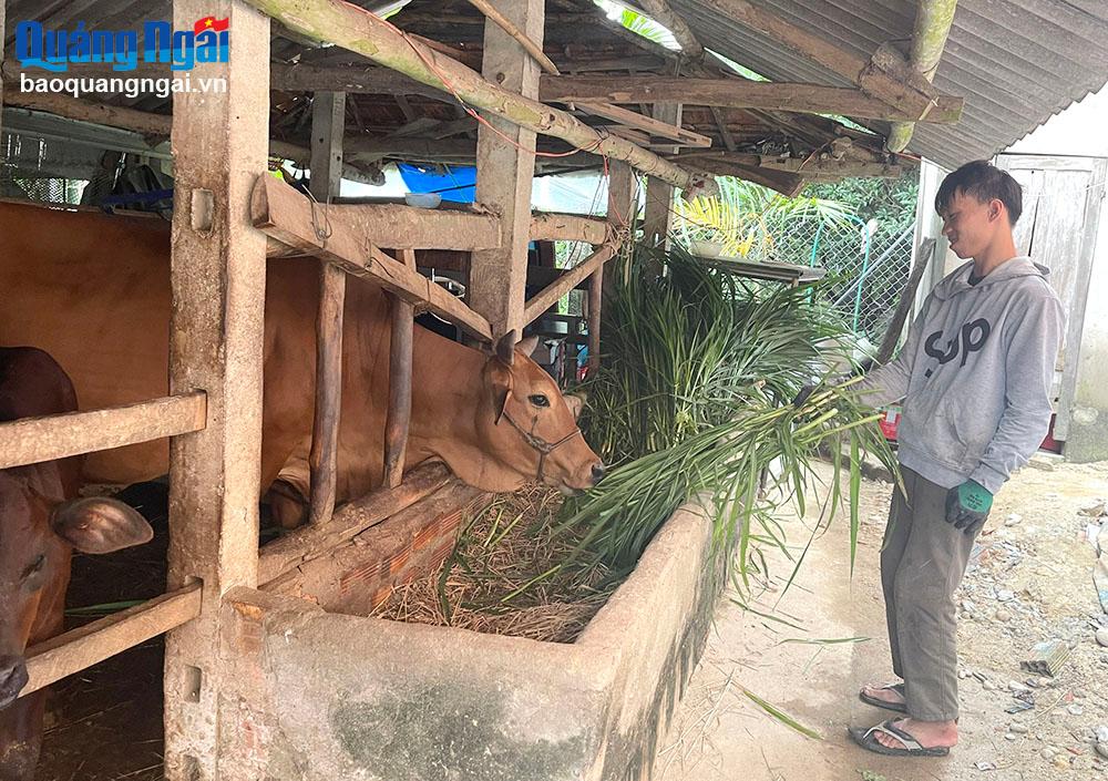 Tỏa sáng nghị lực Việt