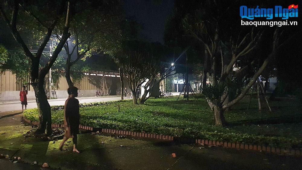 Cần đầu tư điện chiếu sáng cho các vườn hoa