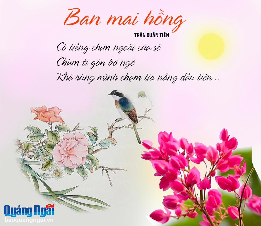 Ban mai hồng