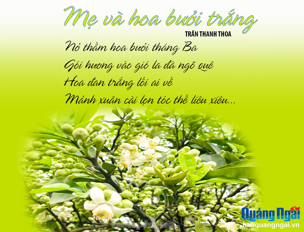 Mẹ và hoa bưởi trắng