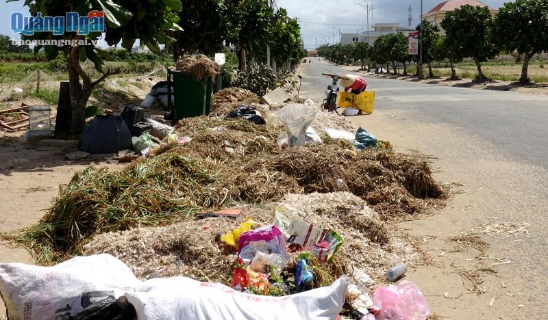 Lý Sơn- nhiều điểm tập rác "chiếm đường"
